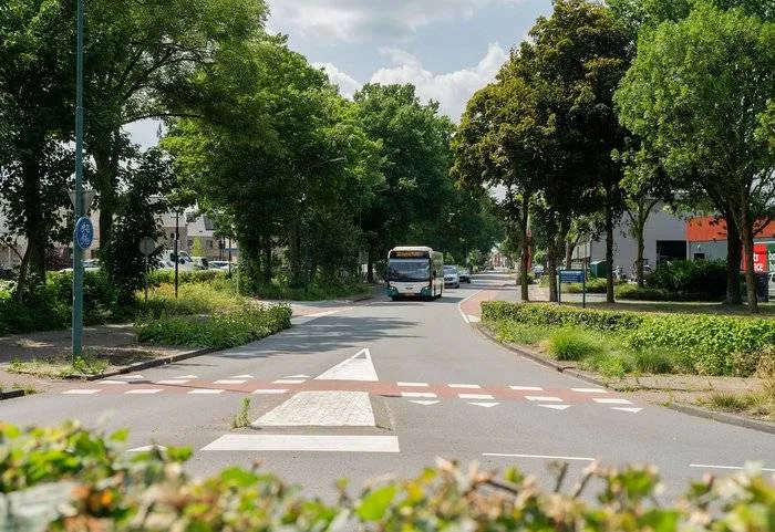 csm_2026-04-21_GR_beeld_bomenbeleid-1_e2de8fb5f7