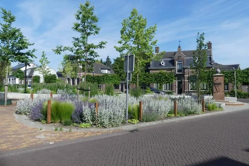 csm_20260601-Raadhuisstraat_Wildschut_Gilze__3__636b4471d1