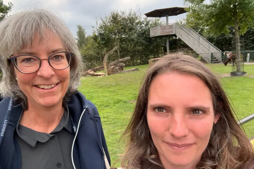 IMG_3953