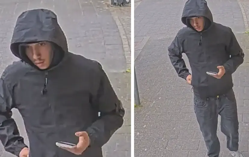 Pinfraude Rijen