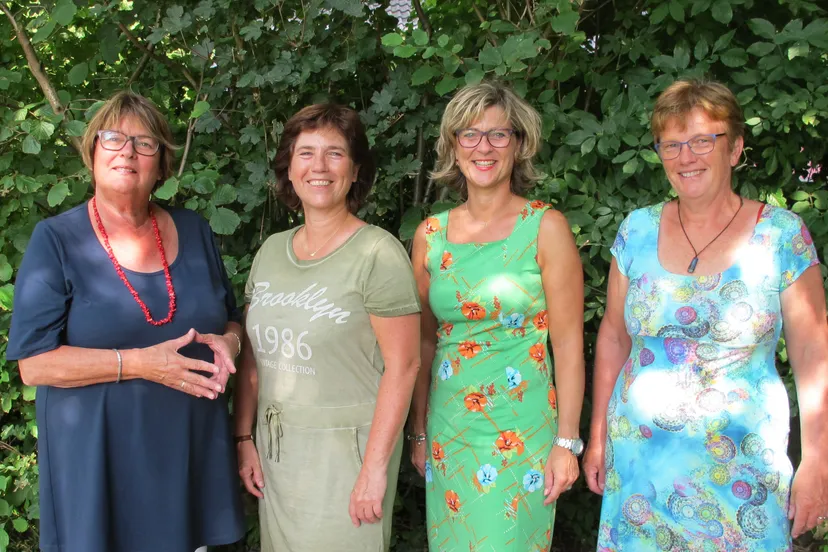 dames van de raad
