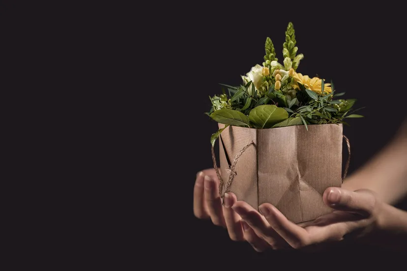 flowers 1338641 1920