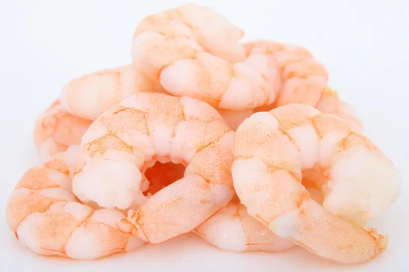 prawns g927e6459a 1920