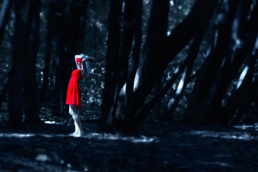 the girl in the red dress in the forest 1388645 1920