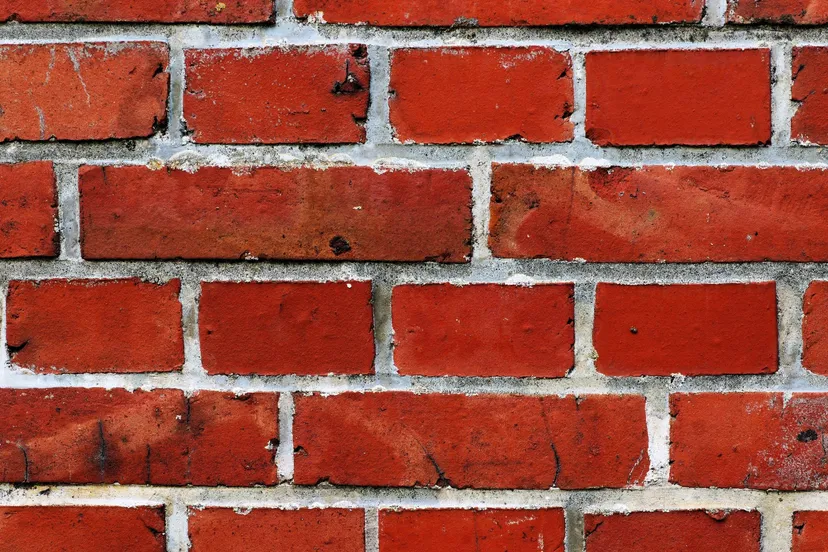 whatsapp image 2022 09 02 at 103827