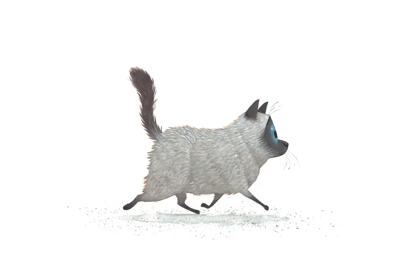 harry loopt illustraties leo timmers