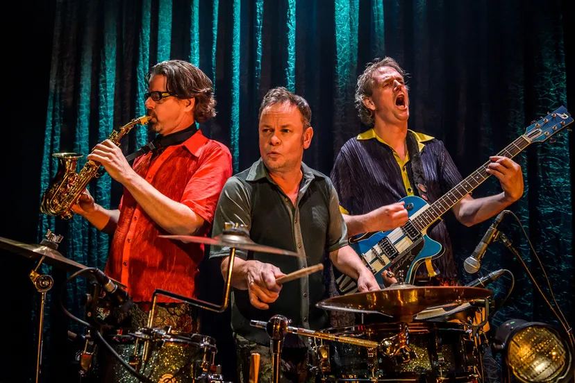 vreemde vogels enge buren 034wim lanserklein