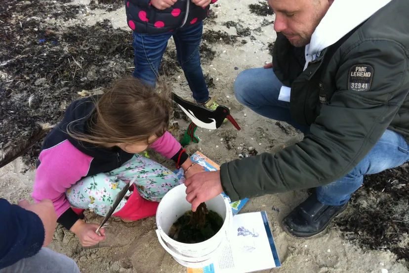 14682057 702666043230883 1977362322147548422 o