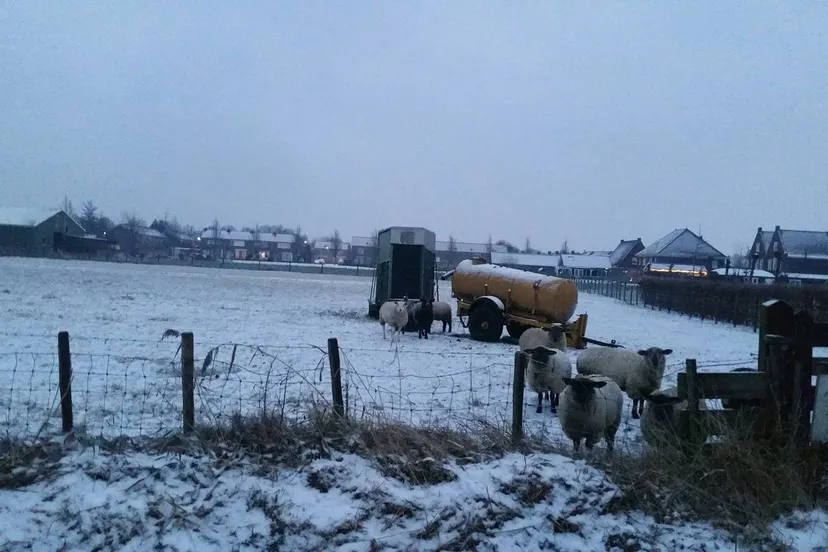 15942979 1403080889734490 500430680 o