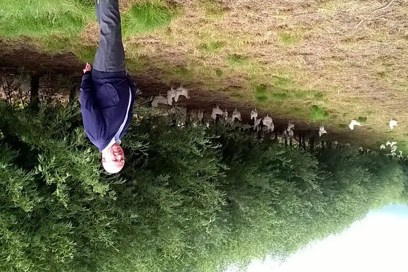 20170812hvdieren bij eibaar e1502886433844