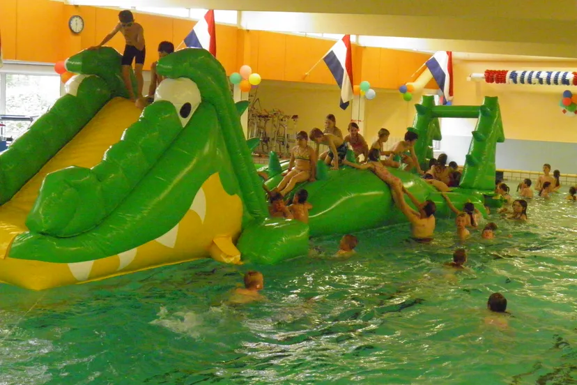 20180228 krokodil gooye