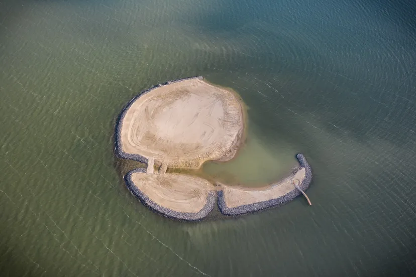 51851207 595121584263525 361627291316387840 n