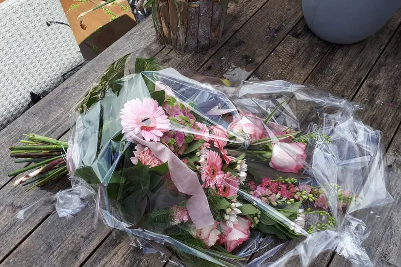 58968127 2581344771899647 4374438952778596352 n