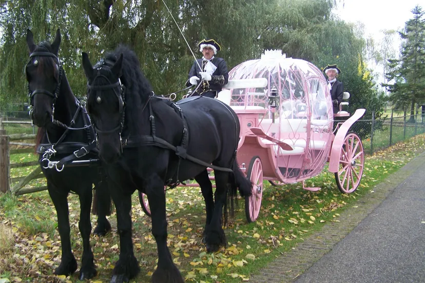 59 4 322 100 8185 kl