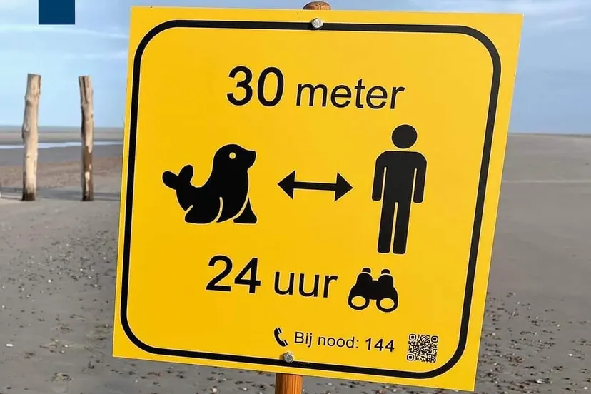 afstand zeehonden puppies