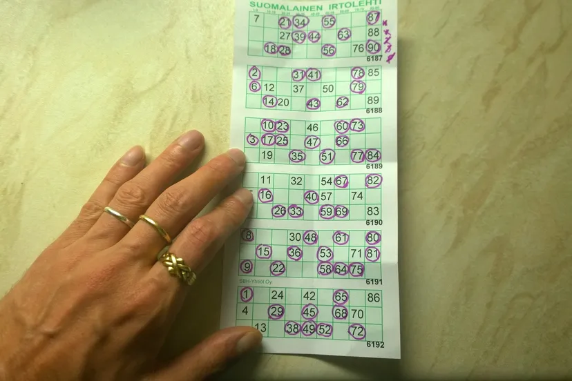 bingo 987408 1920