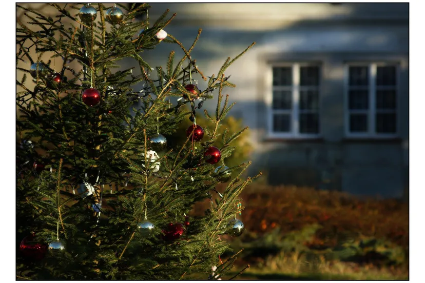 christmas 1101711 1920