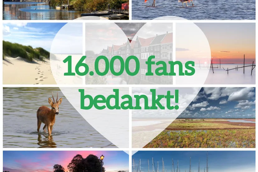 collage 16000 bedankt