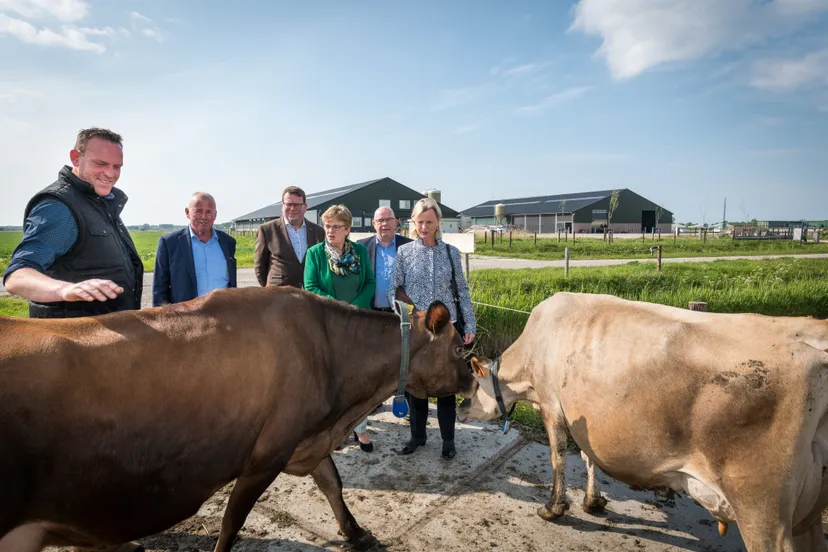 foto 2 werkbezoek goeree overflakkee