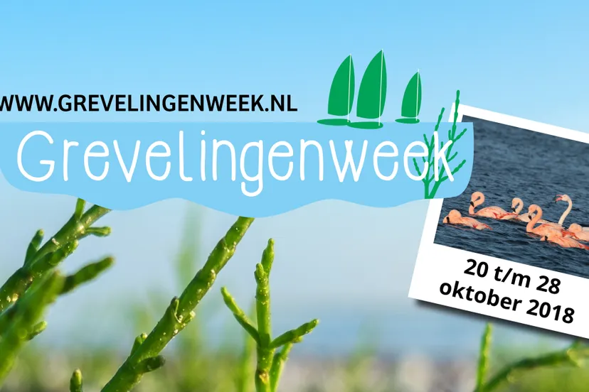 grevelingenweek
