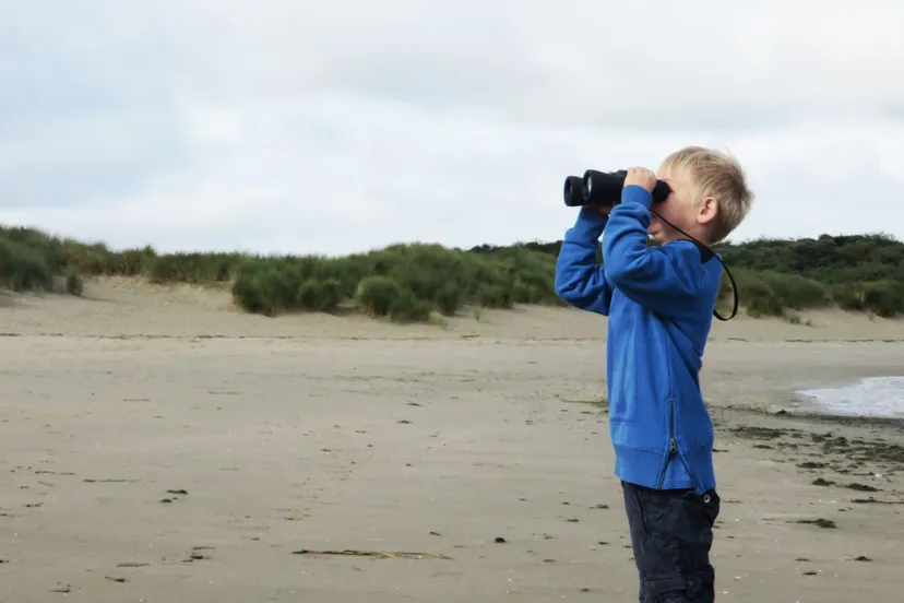 haringvlietdag vogelexcursie lr e1537942736323