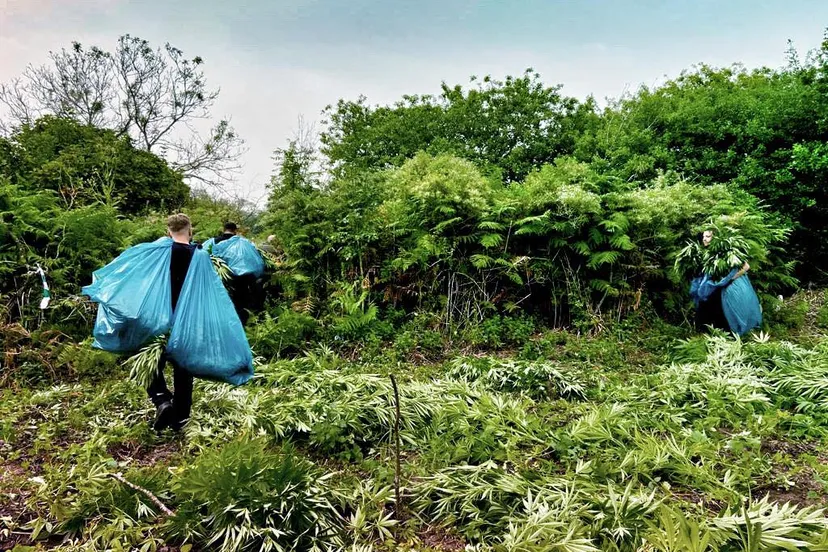 hennep slikken van flakkee