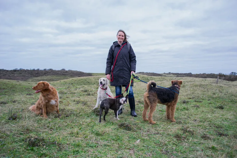 hondenuitlaatservice ouddorp 3