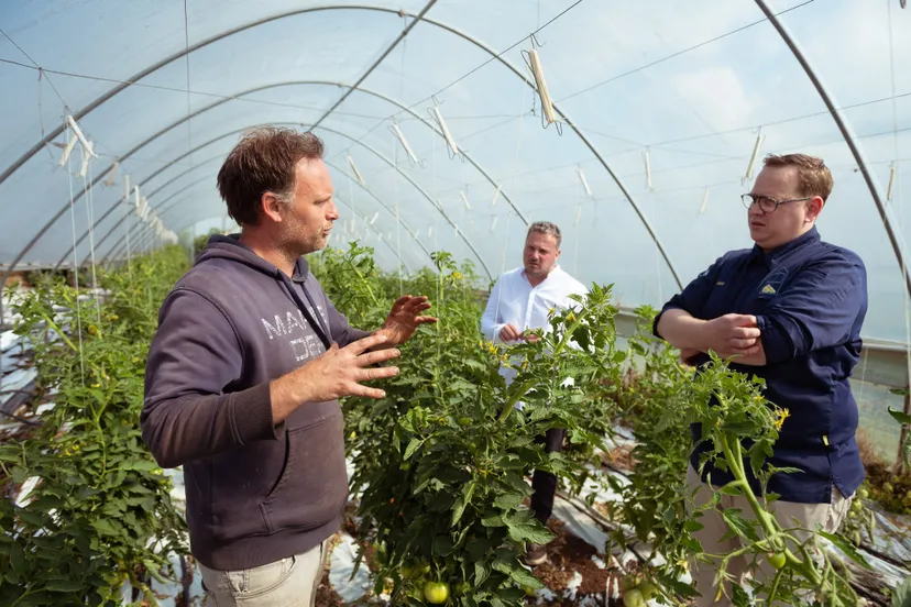 horecaondernemer pieter bosters en joost van nijnatten van t kaasatelier op zoek naar inspirerende streekproducten bij teler michiel teelt