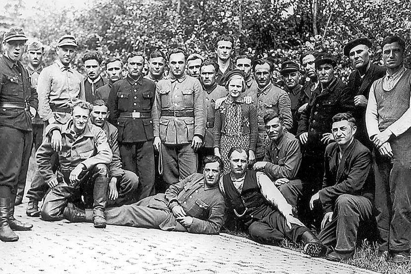 img nedgeorgierstexel lomt00292 1 1200x800 2