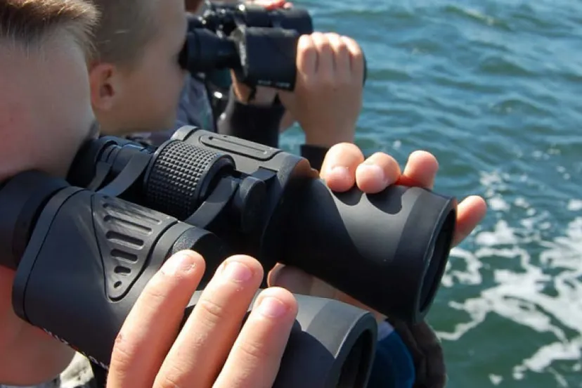 ivn waterpoort werkt