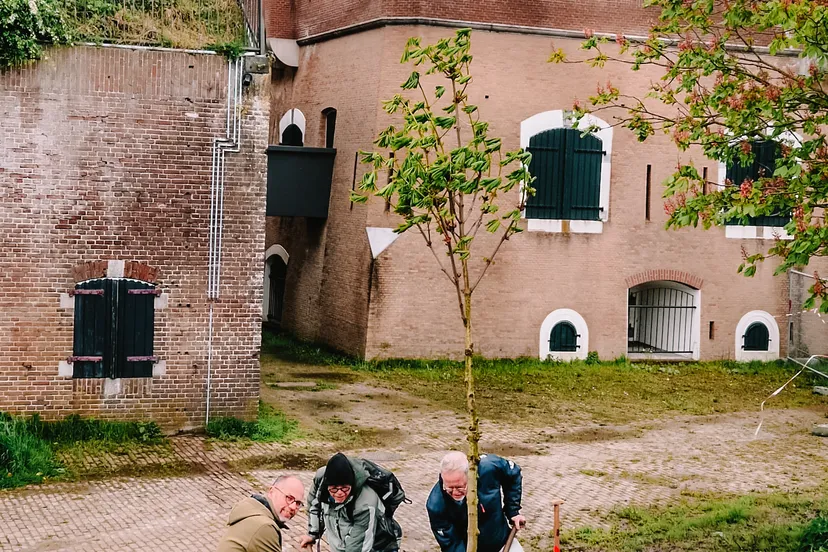 kastanjeboom fort prins frederik 1