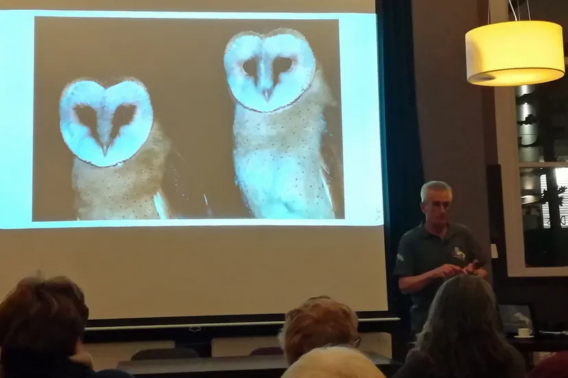 lezing kerkuilenwerkgroep