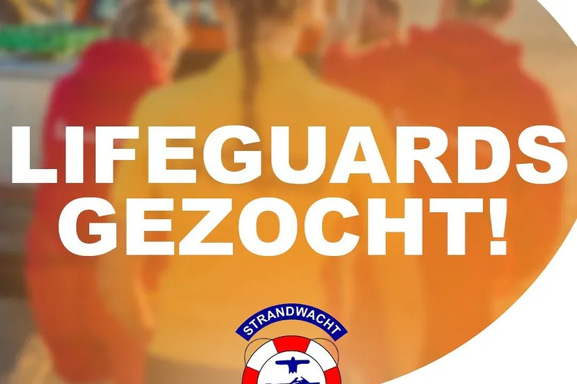 lifeguards gezocht