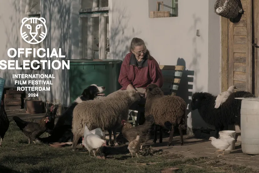 logo iffr afewmorningsanevening3 300dpi