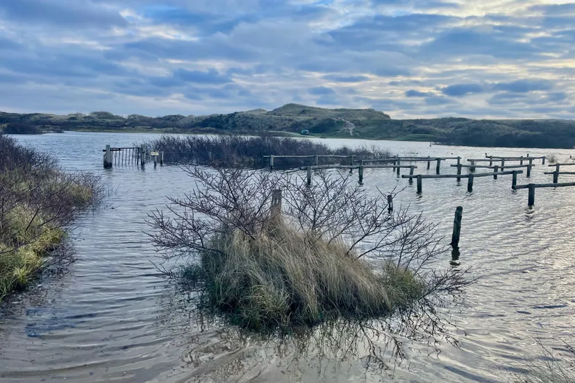 maartje de sonnaville