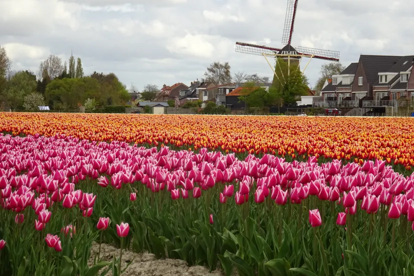 mei 2017 e1493622550843