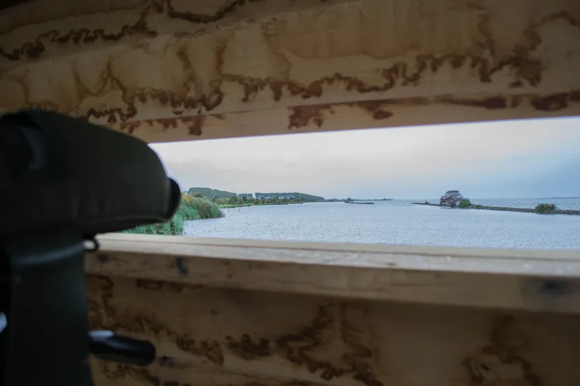 menheerscheplaat de visdief 3