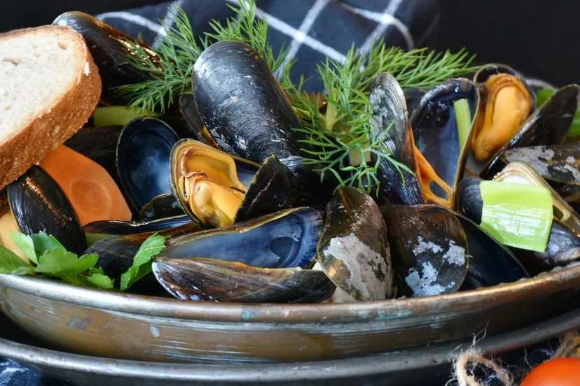 mussels 3148439 1920