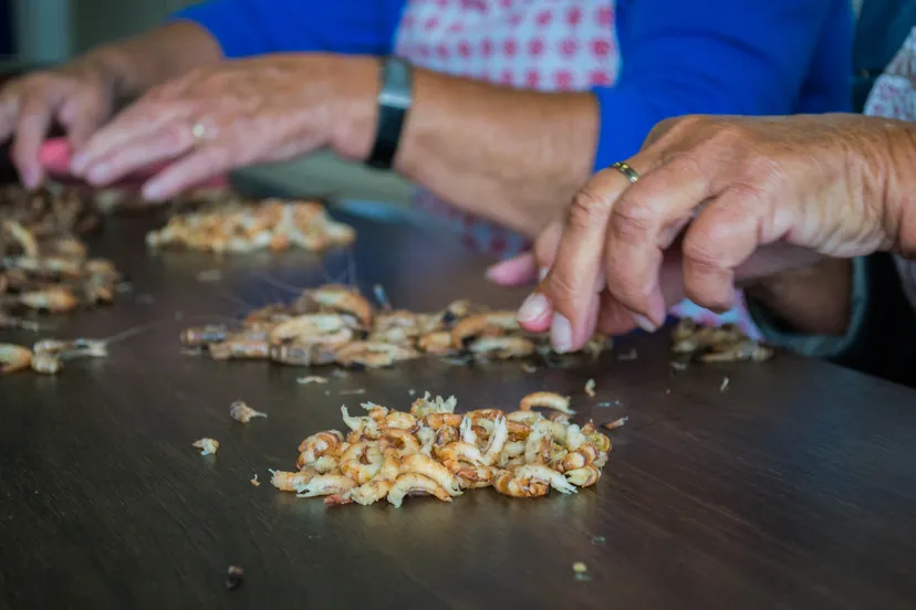 opening week van de goereese vis 23