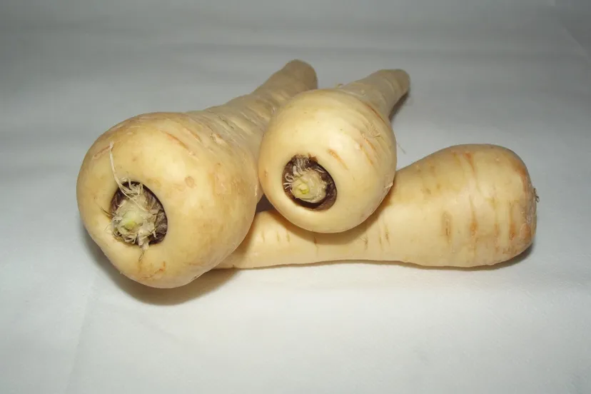 parsnip g9e513429d 1920