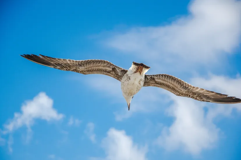 pexels aydin kiraz 11859067