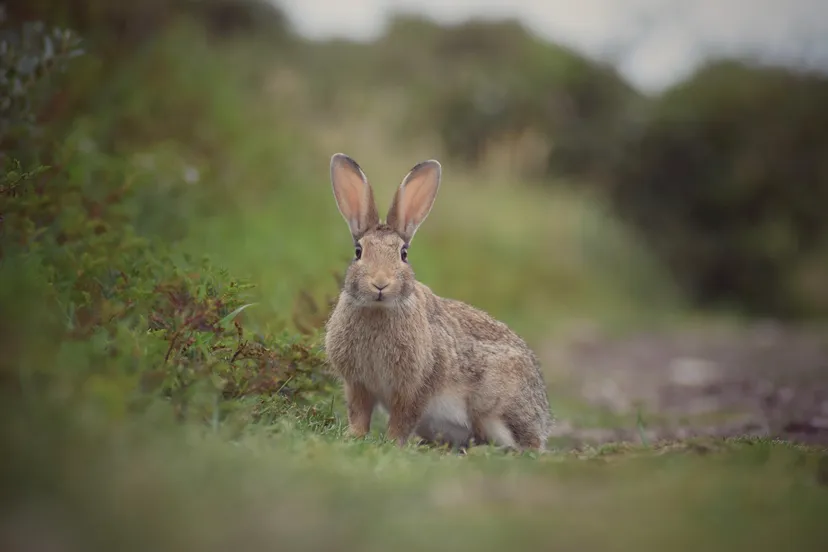 scherm afbeelding 2024 04 23 om 204252