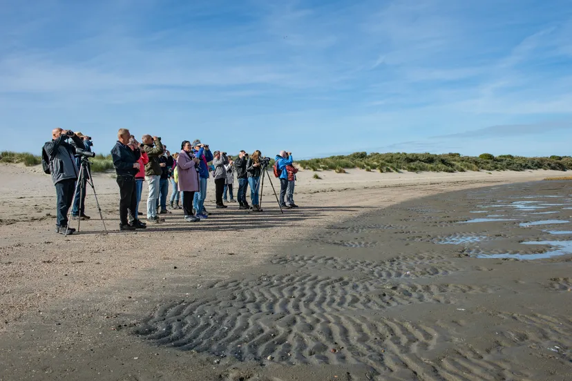 vogelexcursie kwade hoek