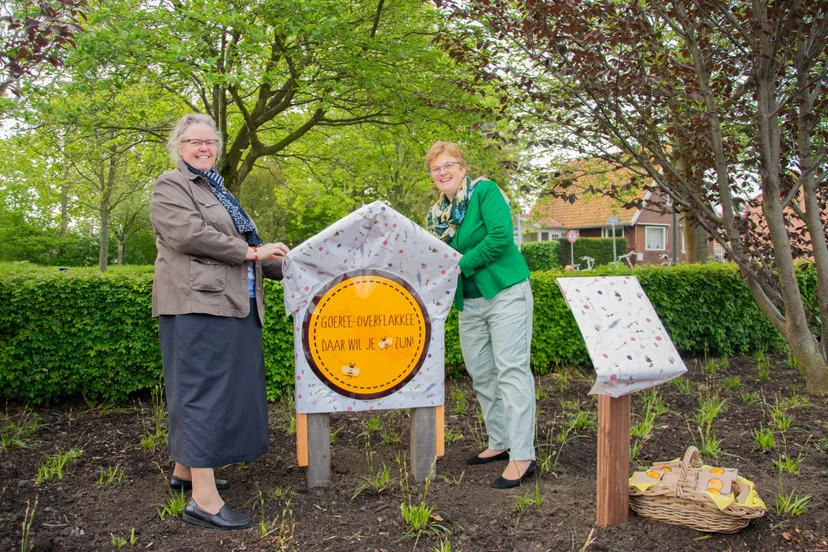 whatsapp image 2019 05 07 at 103157