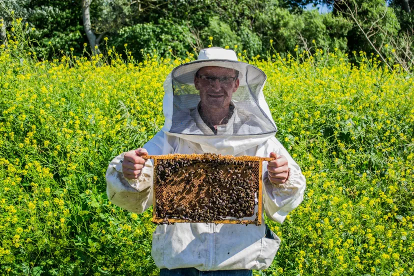 whatsapp image 2019 07 07 at 100740