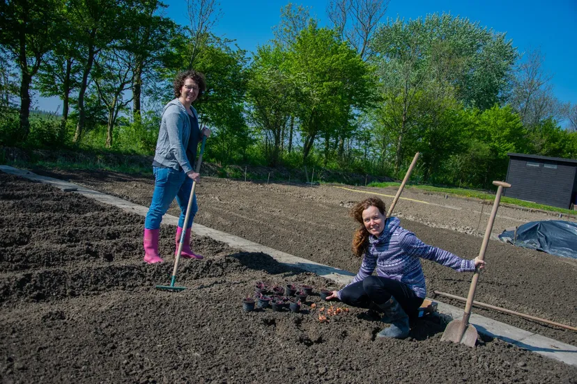 whatsapp image 2020 05 11 at 132703