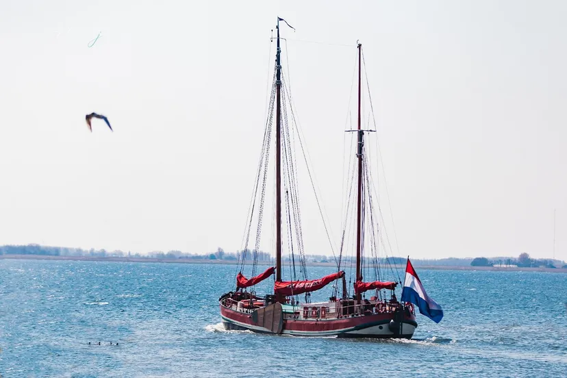 whatsapp image 2020 07 08 at 153106