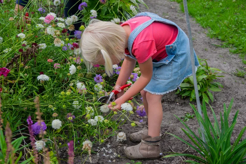 whatsapp image 2020 07 28 at 103506