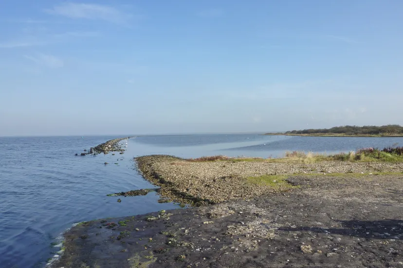 whatsapp image 2020 08 13 at 150500