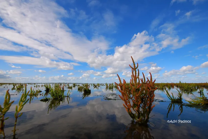 whatsapp image 2020 10 08 at 133444